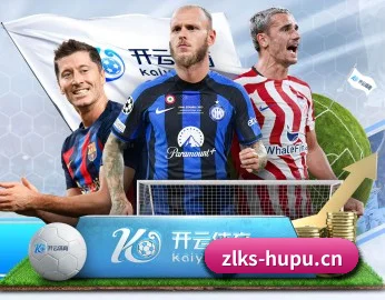五大服务分区,信息按项目分类 - Zunlong