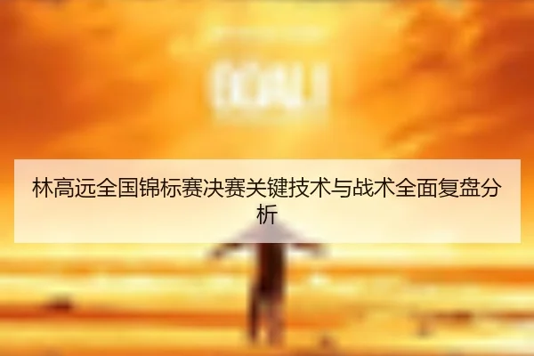 林高远全国锦标赛决赛关键技术与战术全面复盘分析